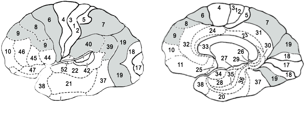 Attention-soutenue-finale