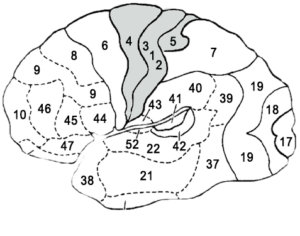 douleurs-chroniques-1 douleurs-chroniques-1