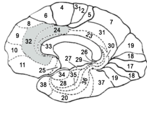 douleurs-chroniques-2 douleurs-chroniques-2